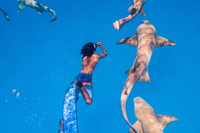 Discover Maafushi in 4 Nights 5 Days (Tour B)