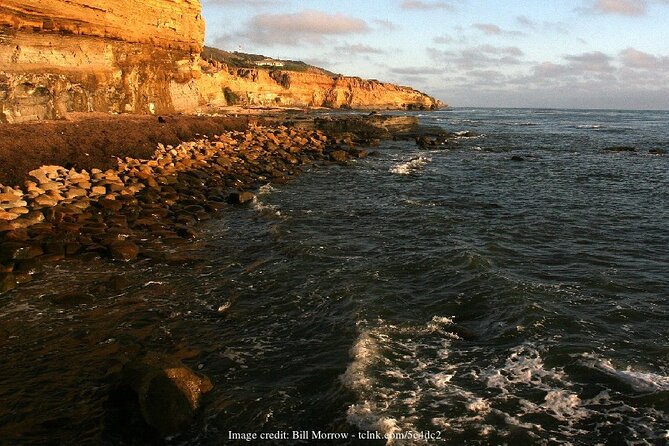 Discover San Diegos Beaches: Private Driving Tour
