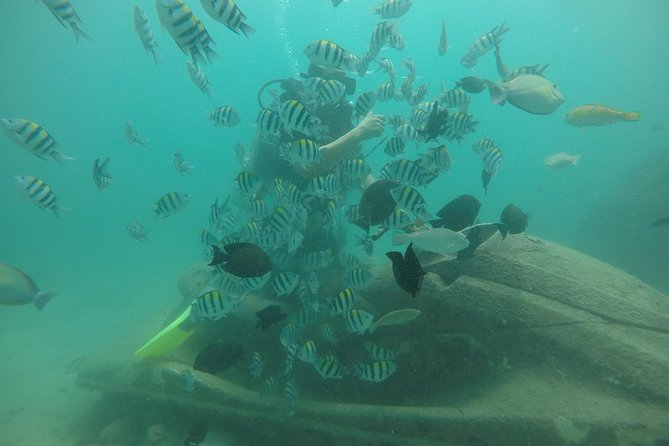 Discover Scuba Diving ( Beginners) Combined With Jet Ski - Overview of the Experience