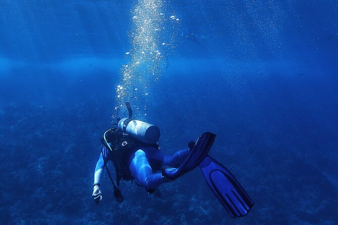 Discover Scuba Diving in Roatan at Upachaya With Private Transfer
