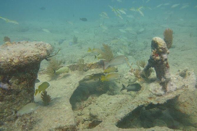 Discover Snorkeling Tour in Panama City