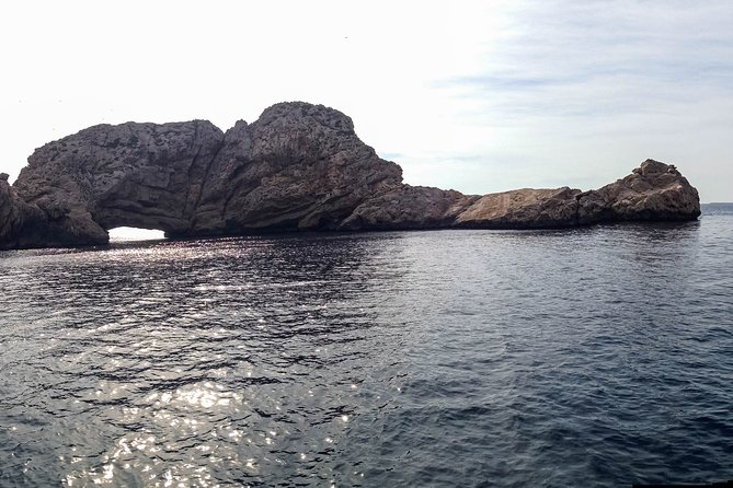 Discover the Wildest Side of Ibiza Sailing Through the North of the Island - Activity Overview