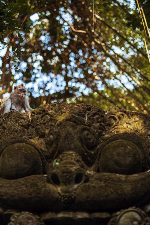 Discover Ubud Hidden Gems: A Costumable Private Day Tour