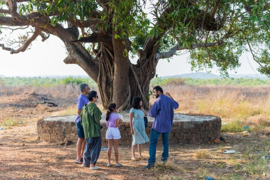 10 Best Lunch Experiences In Goa