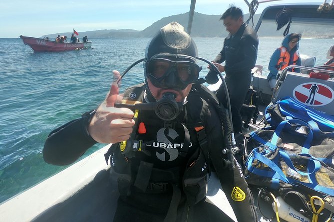 Diving Excursion in Quintay