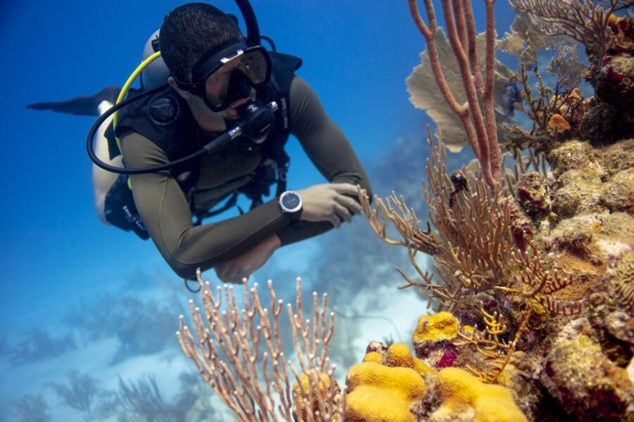 Diving Santa Marta & Tayrona for Certified Divers (2 Tanks)