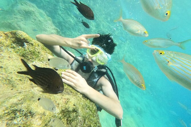 Diving With Optional Pick up – Drop off From Antalya
