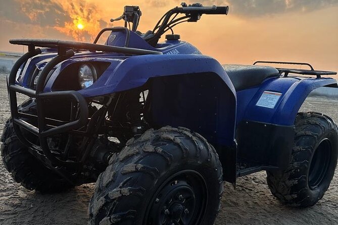 Doha-Night Desert Safari With Sand Board and Camel Ride