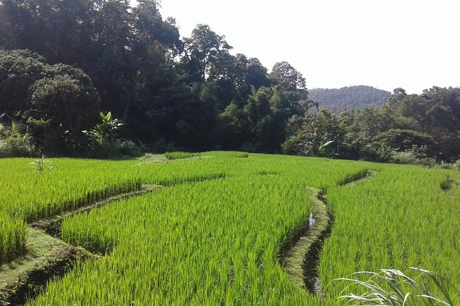Doi Inthanon Day Tour