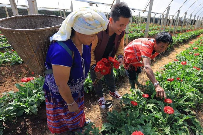 Doi Inthanon Day Trip From Chiang Mai Including Karen Hill Tribe & Twin Pagodas