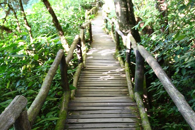 Doi Inthanon National Park Including Lunch From Chiang Mai