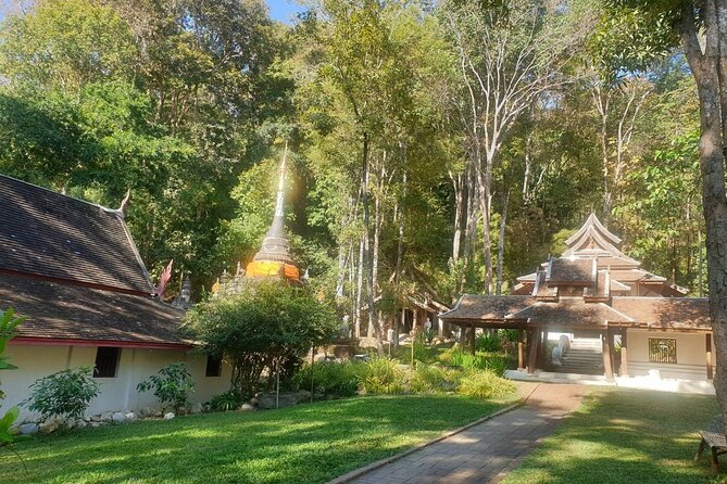Doi Suthep Temple, Pha Lat Temple, Sticky Waterfall, Orchid Farm - Highlights