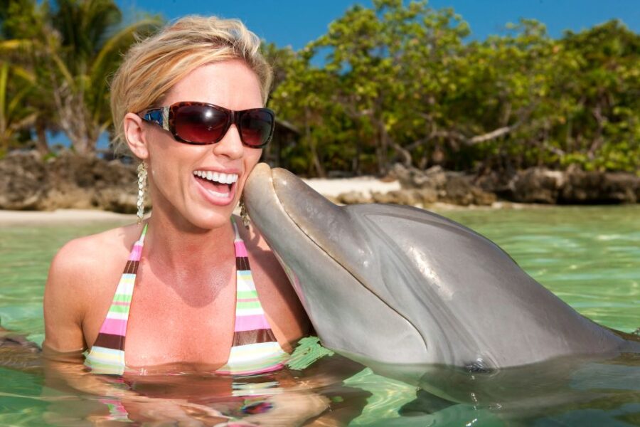 Dolphin Swim Encounter – Dolphin Cove, Ocho Rios, Jamaica
