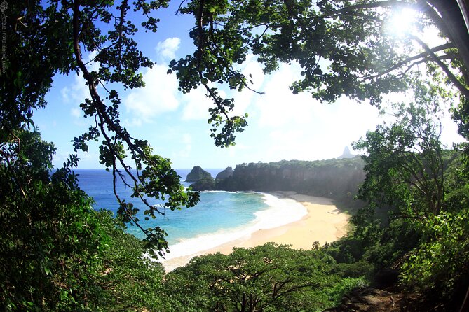 2 Best Dolphin Watching Tours in Fernando De Noronha