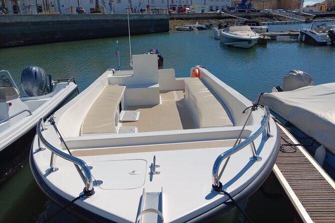 Dolphin Watching and Wildlife From Faro