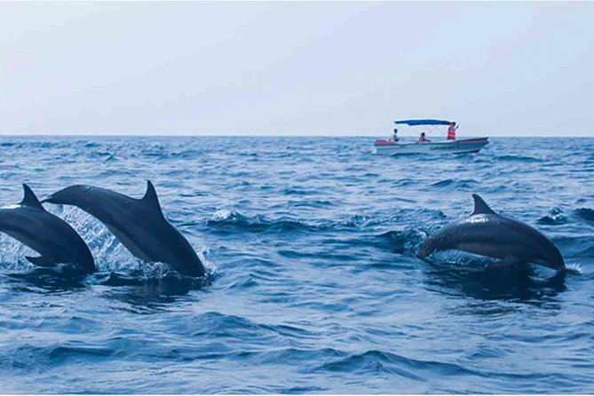 2 Best Tours In Kalpitiya