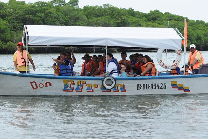 Dolphin Watching Experience in Puerto El Morro From Guayaquil