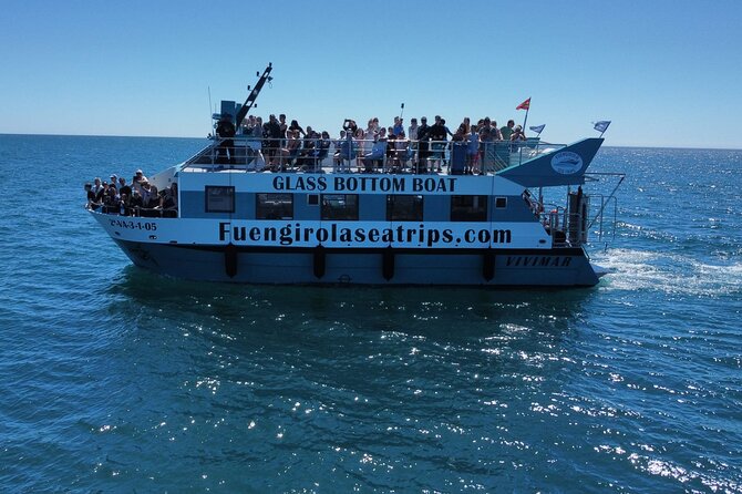 Dolphin Watching on a Catamaran in Fuengirola