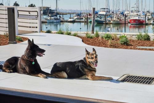 DoubleTree by Hilton Hotel Berkeley Marina - Accommodations and Room Types