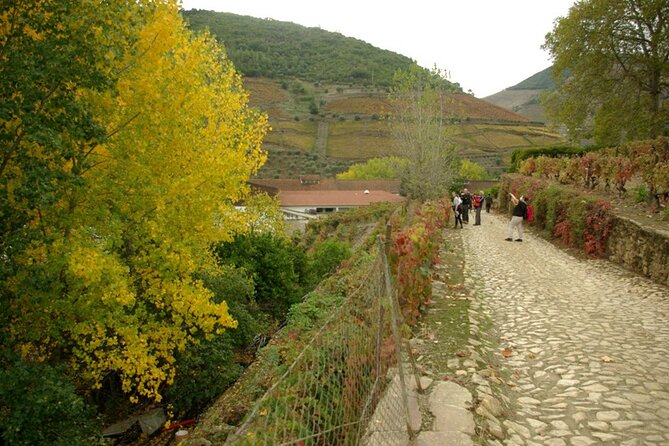 Douro Valley: From Casal De Loivos to Pinhão, Walk and Wine Tour - Inclusions