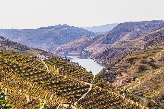 Douro Valley Wine Tour