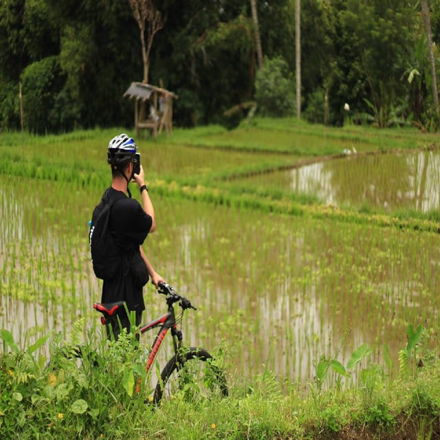 Downhill Cycling Tour Through Rice Terraces Jungle and Meal