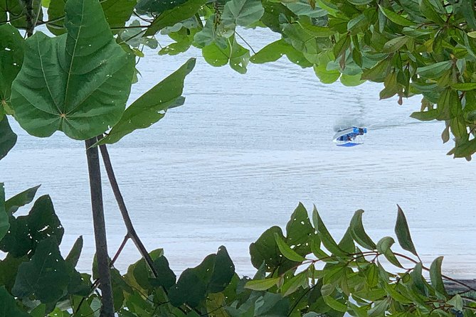 2 Best Cruises And Boat Tours In Drake Bay