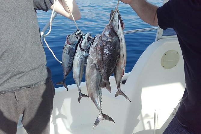 4 Best Fishing Tours In Dubrovnik