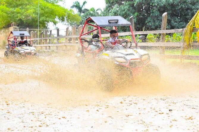 Dune Buggy and Coffee Tasting & Water Cave From Punta Cana