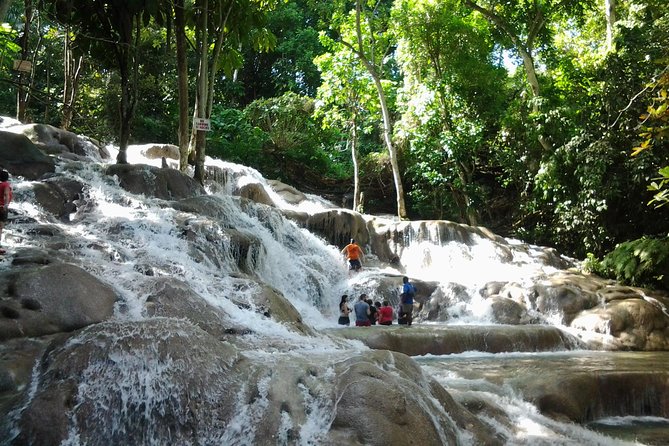 Dunns River Falls Excursion From Montego Bay - Exploring the Dunns River Falls