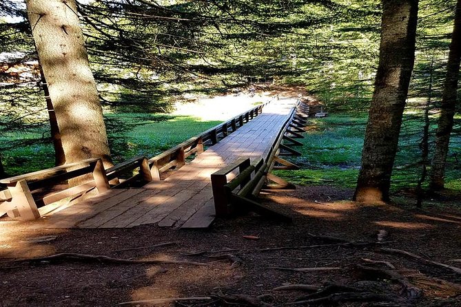 4 Best Tours In Zabljak
