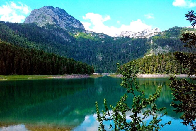 Durmitor National Park, Northern Fairy Tail -Private Tour From Podgorica - Itinerary Highlights