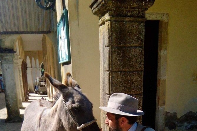 Durrells Story Half Day