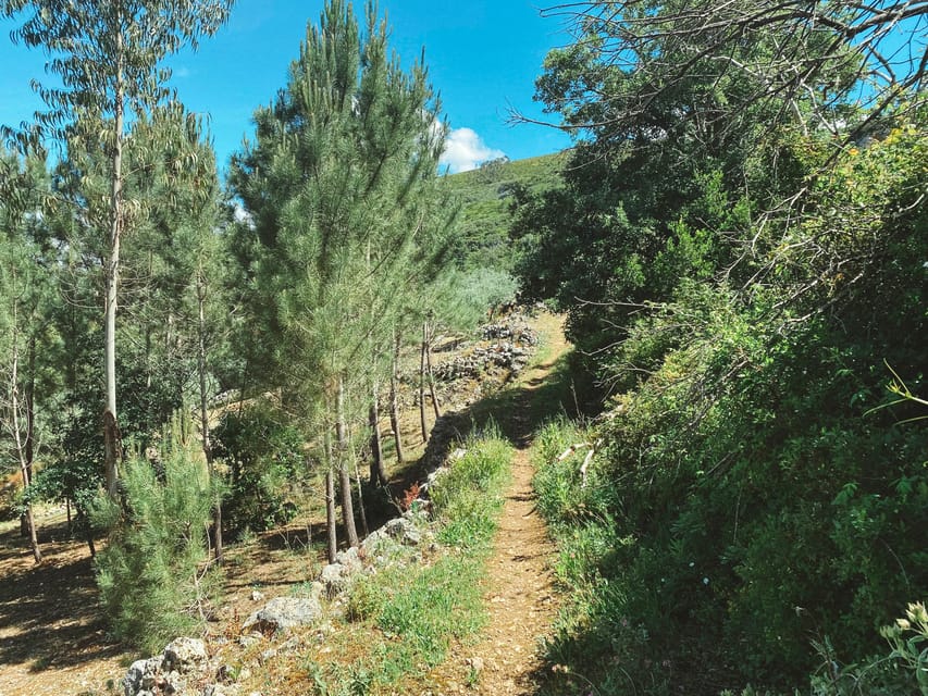 2 Best Bike Tours In Leiria