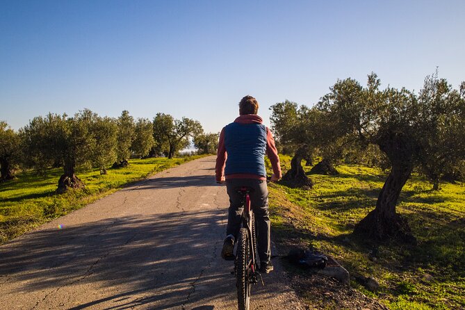 E-Bike Rental Sierra De Las Nieves (Alozaina). Free GPS Tracks and App Included.