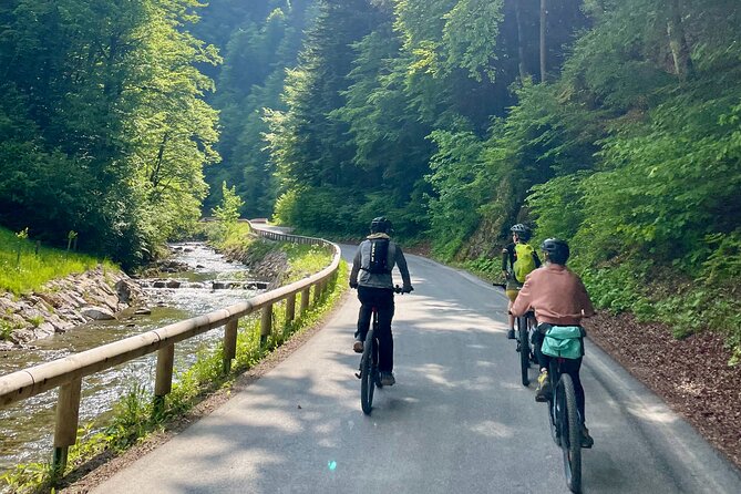 E-Bike Tour Tržič - Inclusions
