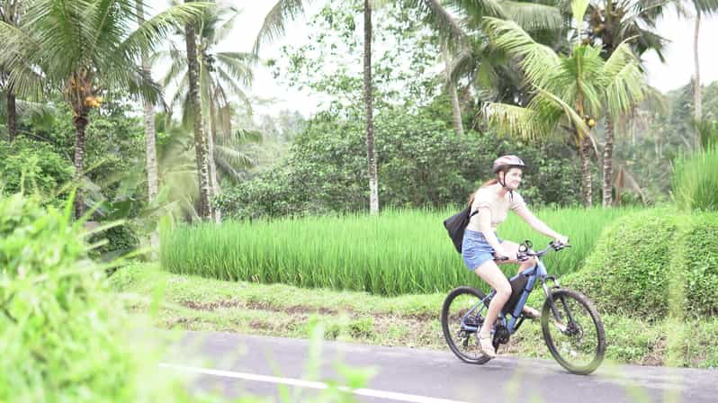 E-Bike: Ubud Rice Terrace & Visit Local Temple Cycling Tour