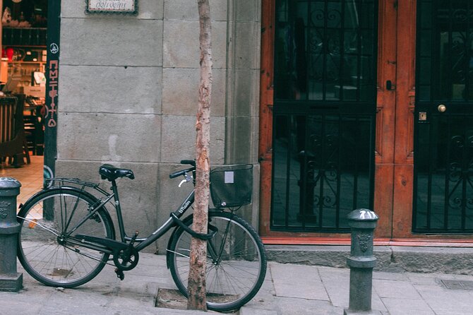E-Scooter - E-Bike - Quadracycle - Bikes - Kick Scooter - Rental Options Explained