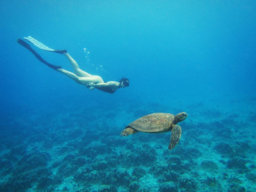 2 Best Tours In Rapa Nui National Park