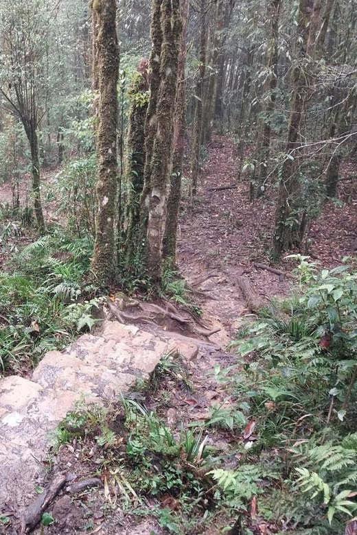 Easy Riders to Silver Waterfall, Love Waterfall, Lonely Tree