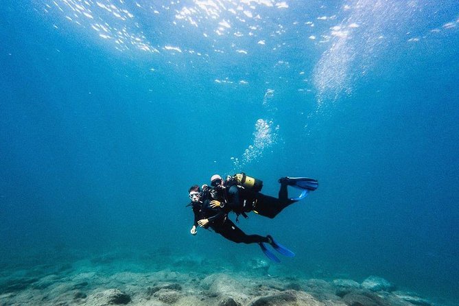 Eco Adapted Diving in Tenerife - Location and Overview