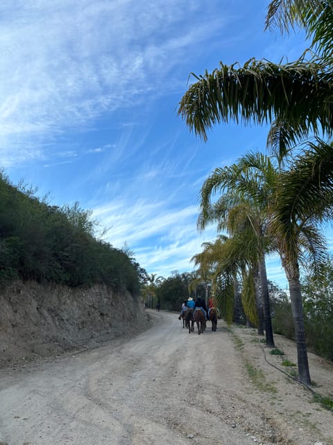 Eco Canyon Horseback Riding Excursion