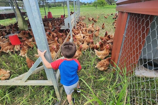 Eco Friendly Farming Tour to Explore Dorados Most Beautiful Farm
