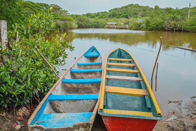 Ecological Route by Lever Canoe With Artisanal Fishing Show