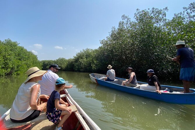 Ecotour and Fishing in Natural Mangroves of Cartagena