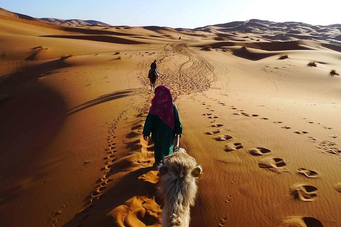El Borj Desert Tour From Agadir - 2 Days