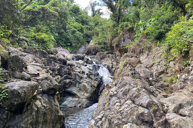 El Yunque Rainforest Morning River and Hike Adventure