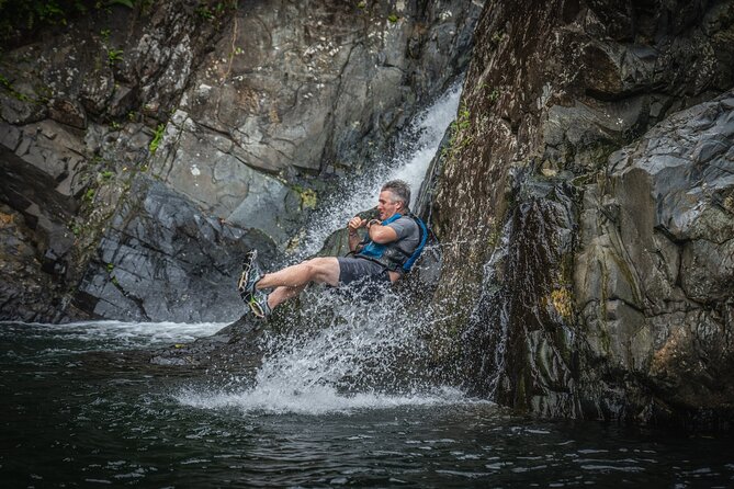 El Yunque Rainforest Tour Earlybird/ Small Groups