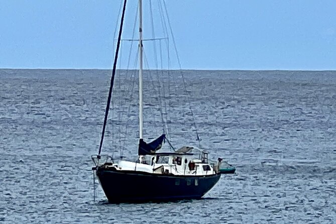 Electric Beach Snorkeling With Dolphins Tour - Inclusions and Amenities