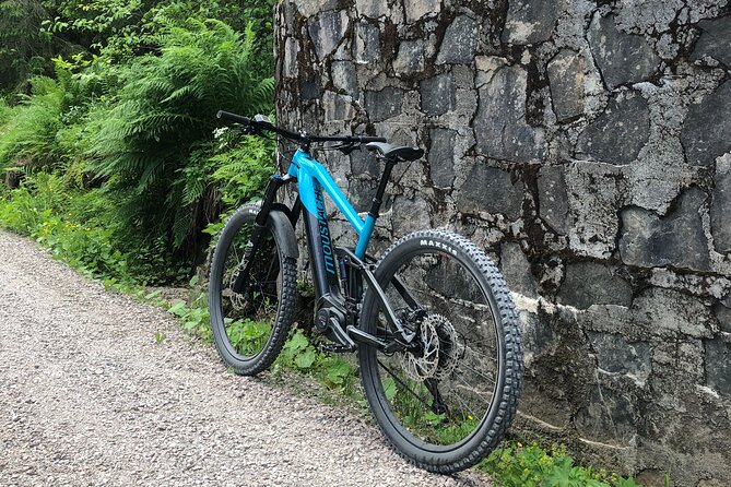 Electric Mountain Bike Rental in Oslo - Overview and Experience